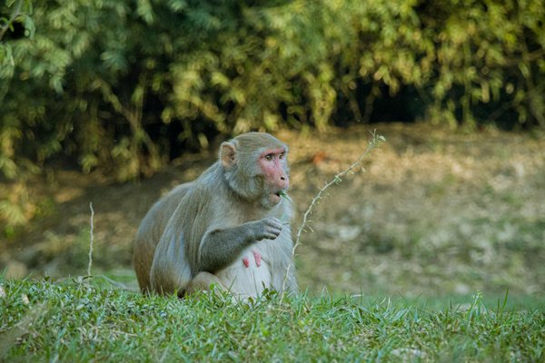 Mutuelle santé et situation familiale : adapter votre couverture efficacement