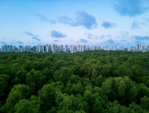 Lancez des nains de jardin : le doodle google à découvrir !