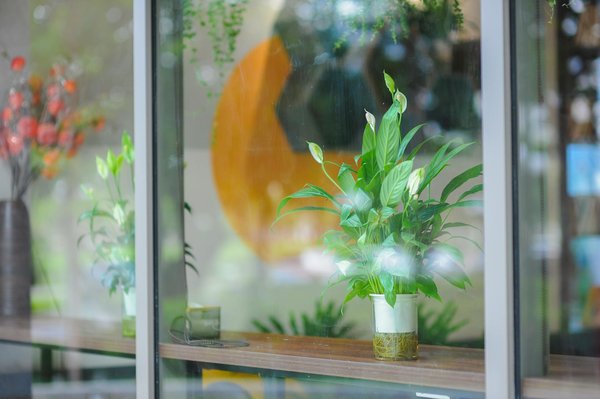 Le Guide Ultime pour Décrypter l'Indemnisation du Chômage